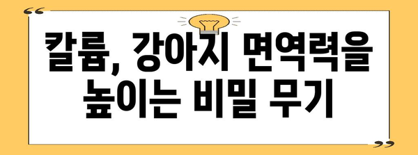 강아지 면역력 꿀팁 | 칼륨이 면역력에 미치는 놀라운 영향