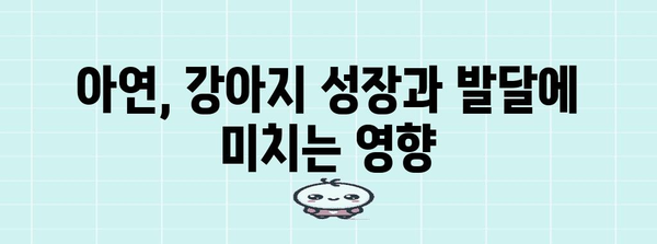 강아지 건강 필수 영양소 | 아연의 역할과 효과 알아보기