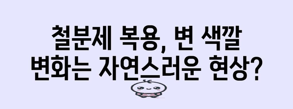 철분제 변색깔 가이드 | 복용 후 검은 변이 나타나는 이유