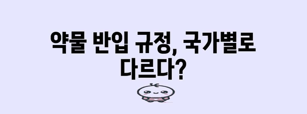 기내 약반입 여부 확인법과 반입해야 할 서류 및 준비물