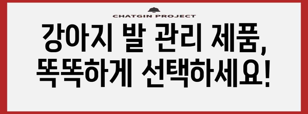 강아지 발 관리 가이드 | 산책 후 발 닦는 것의 중요성