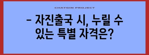 불법체류자 자진출국제도 가이드 | 특별 자격과 주의사항
