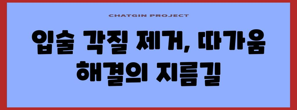입술 따가움 원인 찾기 | 각질과 숨은 연관성