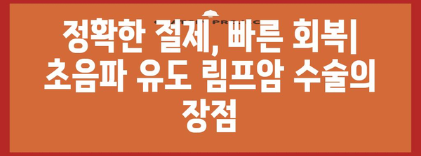 림프암 수술 혁명 | 초음파 유도 절제