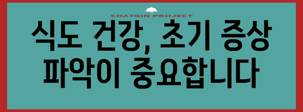 식도암 초기 증상 파악 | 건강한 식도를 위한 가이드