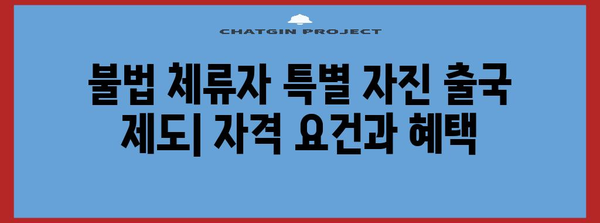 불법 체류자 특별 자진 출국 제도 | 자격 요건과 혜택