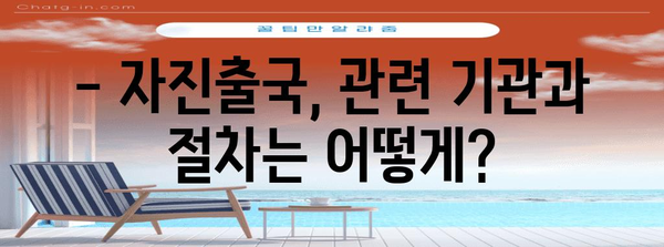 불법체류자 자진출국제도 가이드 | 특별 자격과 주의사항