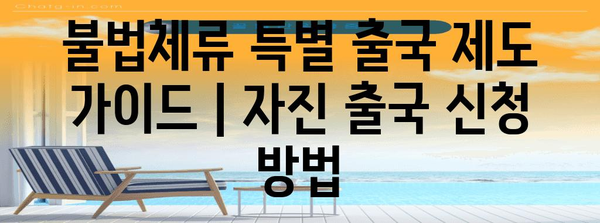 불법체류 특별 출국 제도 가이드 | 자진 출국 신청 방법