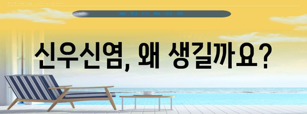 신우신염 완벽 이해 가이드 | 증상, 치료법, 예방법