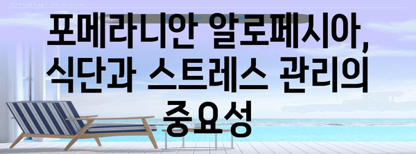 털 빠지지 않는 포메라니안을 위한 알로페시아 대처법