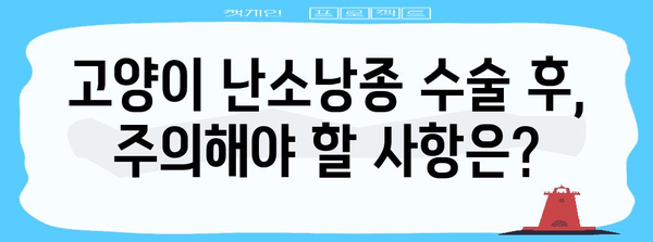 고양이 난소낭종 수술 | 안전하고 효과적인 치료 방법