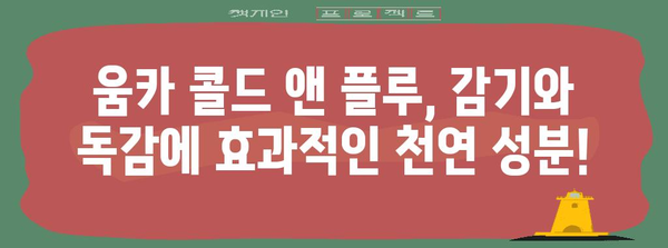 움카 콜드 앤 플루 | 효능과 아이허브 베리맛 추천