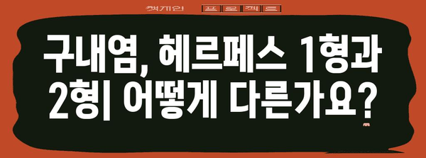 구내염 진단 가이드 | 헤르페스 1형과 2형 차이점