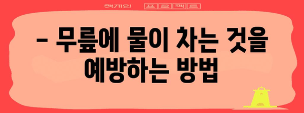 무릎에 물이 찬 원인과 치료 | 증상, 통증 완화 방법 및 예방