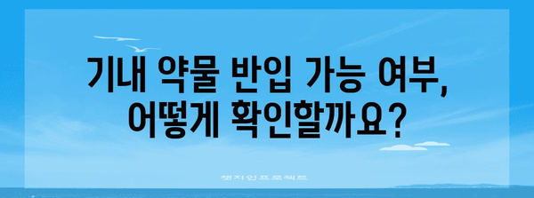 기내 약반입 여부 확인법과 반입해야 할 서류 및 준비물