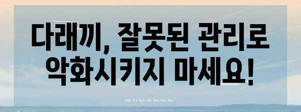 다래끼 원인 분석과 빠른 완치 가이드