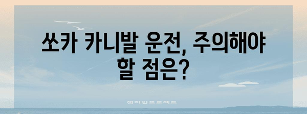 쏘카 카니발 대여 가이드 | 요금, 운행 요금, 정보 총망라