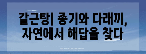 종기와 다래끼의 천연 소염제 | 갈근탕의 효과와 사용법