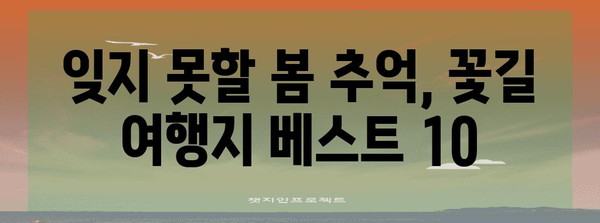 꽃구경을 위한 국내 여행지 베스트 10 | 봄 여행 필수 추천
