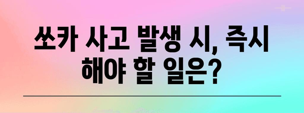 쏘카 사고 처리 | 후속 절차부터 보험 보상까지