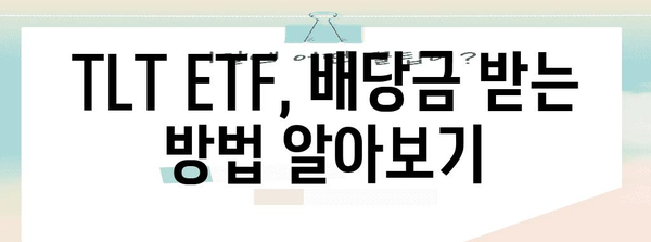 TLT ETF 배당금 수령 가이드 | 채권 ETF 배당 이해