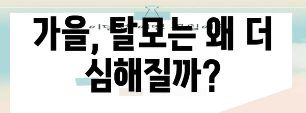 가을철 탈모 SOS | 빠지는 머리카락을 막는 방법