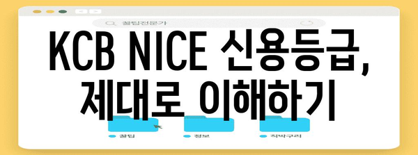 KCB NICE 신용관리 가이드 | 점수 올리기와 신용등급 개선