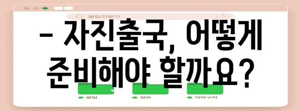 불법체류자 자진출국제도 가이드 | 특별 자격과 주의사항