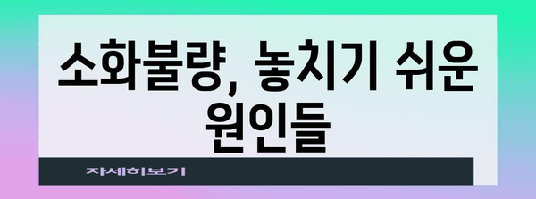 소화불량 증상 해결책 | 방귀, 복부팽만, 설사 해결하기