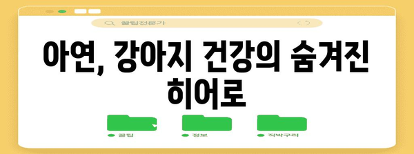 강아지 건강 필수 영양소 | 아연의 역할과 효과 알아보기