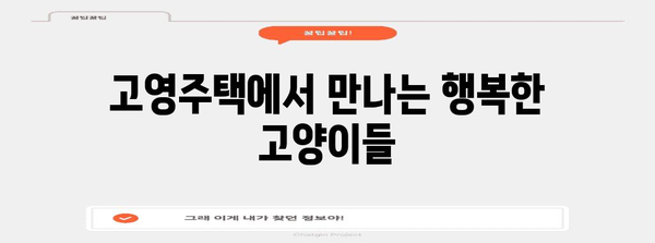 김포 고영주택 | 고양이 애호가를 위한 최고의 방문 가이드