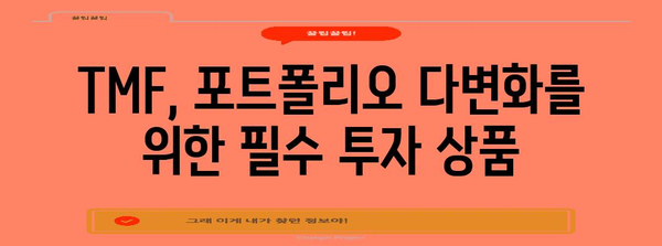 미국 장기채 ETF (TMF) | 금리 하락기에 빛나는 투자