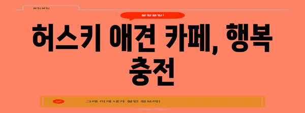 애견과 함께하는 행복한 순간 | 허스키 애견 카페