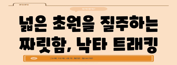 제주 낙타 트래킹 | 잊지 못할 5가지 액티비티