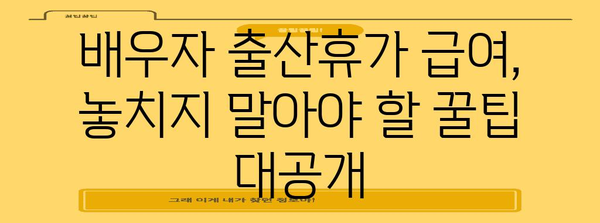 배우자 출산휴가 급여 신청 안내서 | 신청 기간, 서류, 꿀팁 꿀팁