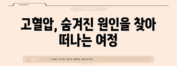 고혈압의 숨겨진 원인 | 위험 요소와 관리 가이드