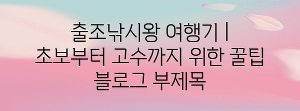 출조낚시왕 여행기 | 초보부터 고수까지 위한 꿀팁