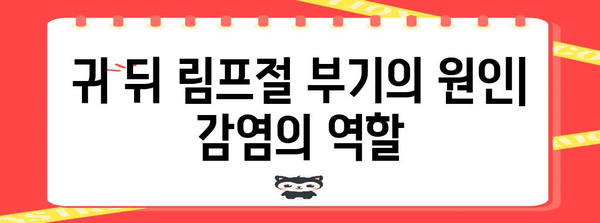 귀 뒤 림프절 부기의 빈번한 원인과 대처법