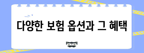 외국인도 걱정 마세요! 장애로부터 보호하는 보험 옵션