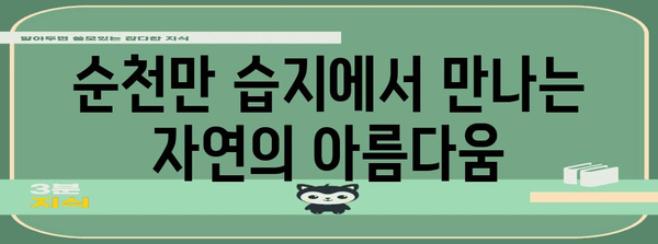 여수 순천 여행 코스 | 아름다운 풍경과 재미가 가득한 6곳