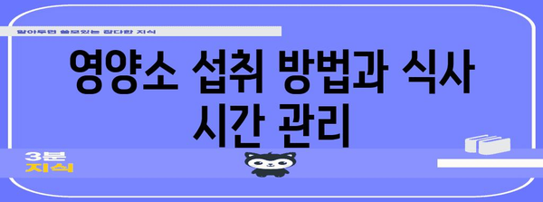 14개월 아기 영양 가이드 | 성장에 필수적 영양소 섭취법