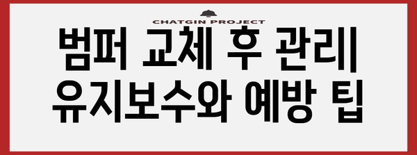 자동차 범퍼 교체 완벽 가이드 | 비용 절감과 수리 성공의 비결