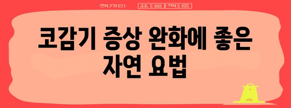 코감기 즉시 제거 | 확실한 8가지 방법