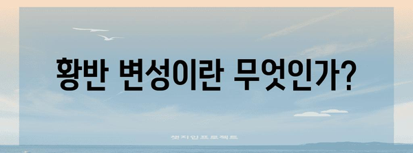 황반 변성 치료 완벽 가이드 | 성분, 치료 일지, 예방법