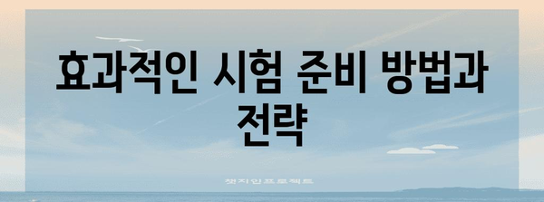 사무자동화산업기사 | 자격 취득 과정과 시험 대비 가이드