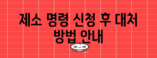 제소 명령 신청 | 절차와 유의 사항