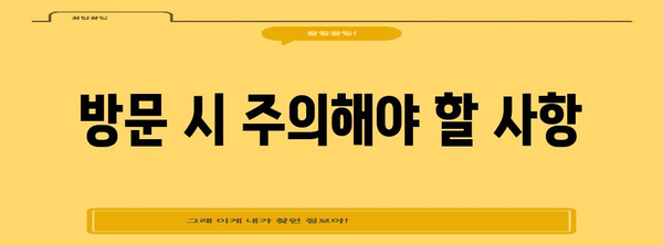 청와대 개방 관람 예약 및 방문 철저 가이드